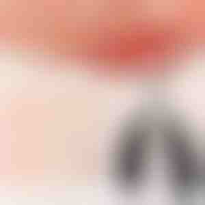 Nagelknipper en schaar | NAILPRO