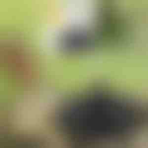 Breng je tuin tot leven met de magische zonnefontein | FONTANA