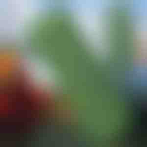 Ultralichte Campingmatras | BUBIMAT