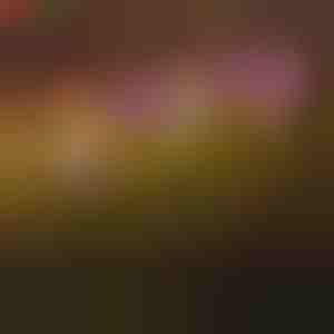 Vlinderlampen voor buiten op zonne-energie | FLUTIX