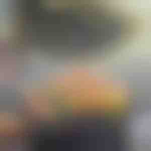 Multifunctionele antiaanbakpan | KOREPAN