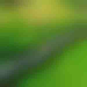 Steenachtige tuinrand (10 stuks) | MINIFENCE