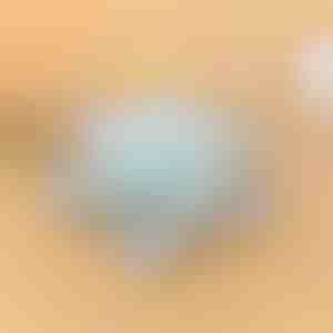 Draaibare container | SNACKARO