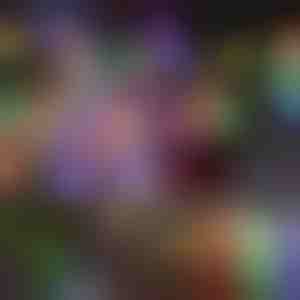 Lichten aangedreven door daglicht | SOLSTICE