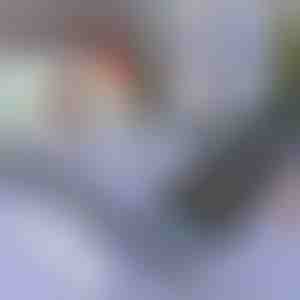 Zonneklep voor auto en raam | SUNGUARD