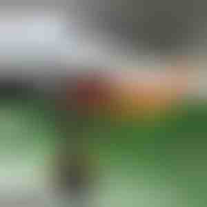 Snel opwarmende autoventilator | TURBOCUP