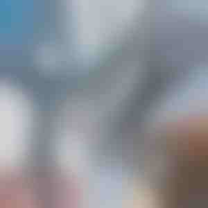 Universele Moersleutel | UNITORX