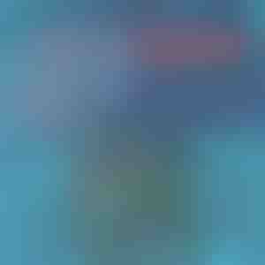 Sneldrogende zwembroek | TOGGIES