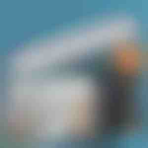 Flexibele zelfklevende hanger met 6 haken (1+1 GRATIS) | HEXHOOK