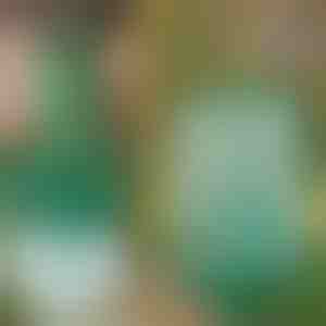 Herbruikbare, hangende vliegen- en insectenval | INSECTA