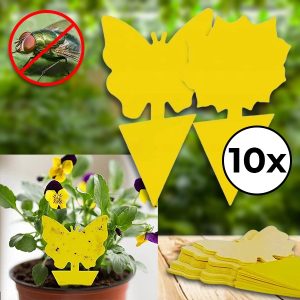 Kleverige Vliegenvallen (10 stuks) | BUGILURE