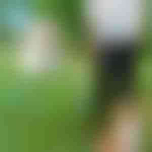 Handsfree hondenriem | CROSSLEASH