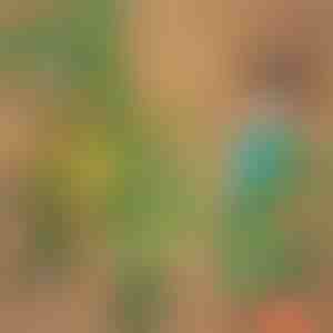 3D rugzak in de vorm van een dinosaurus | DINOBACK