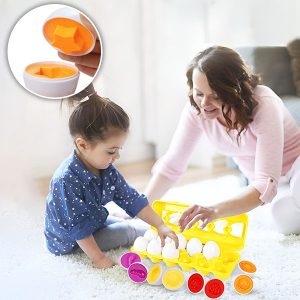 Didactisch speelgoed - set met doos en 12 eieren | EGGCELLENT