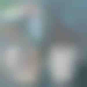 Kattenbakschepje | SCOOPY