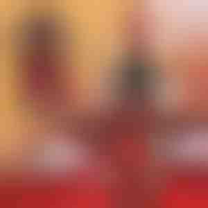 Wijnflesjas | VINOPOUCH