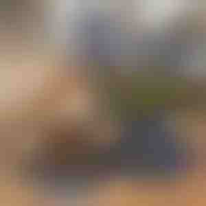 Opvouwbare 2-in-1 voer- en waterbak voor huisdieren | WOOFDISH