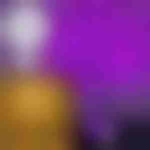 Twinkelende Lichtboom | BLISSTREE