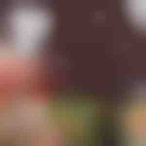 Bladwijzers met gedroogde bloemen (20 stuks) | BOOKIO