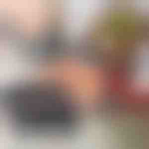 Vleesklauwen | CLAWMASTER