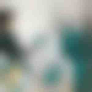 Ministoomstrijkijzer | FERROLITE