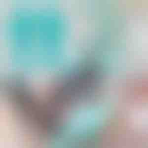 Handschoenen voor het verzorgen en schrobben van huisdieren | FURMITTS