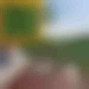 Privacy scherm met kunstbladeren | LEAFPANEL