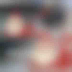 Kerstman Auto Achterwisser Sticker | SANTAWIPER