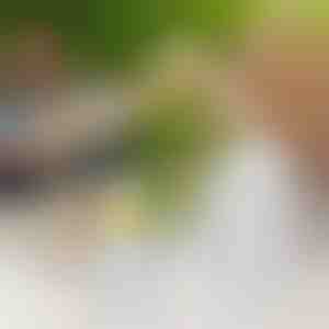 2 in-1 siliconen ijsbolletjesvormer | FREEZBALL