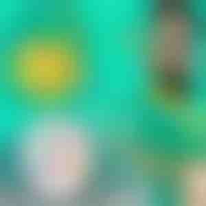 Pistool met kleverige ballen | DINOSNAP