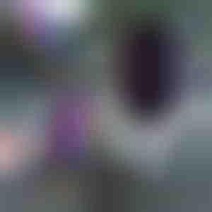 Slimme draadloze telefoonoplader en houder voor auto's | DELUXE