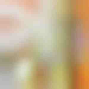 Multifunctionele hakmolen | SLICEWISE