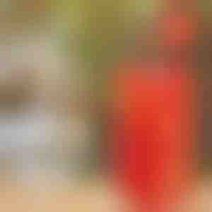 Bellenblaasmachine | BUBBLEXPLODER 1+1 GRATIS