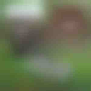 Multifunctioneel tuingereedschap voor bodemonderhoud | PRONGSPRO