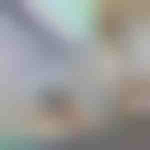 Decoratieve en privacywerende raamfolie | PRISMWRAP