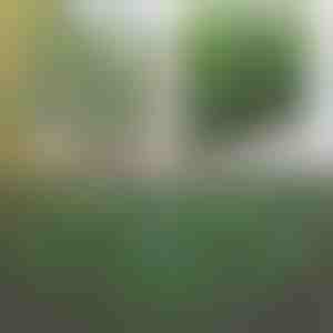 Decoratieve en praktische omheining voor terras en tuin | GREENFENCE