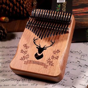 Afrikaans muziekinstrument | MELODIKO