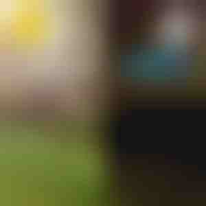 Zonne-energie tropische tuinverlichting | LUMIPALM