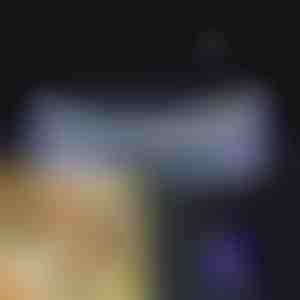 Gloeiende Hondenhalsband voor 's Nachts i PETSHINE