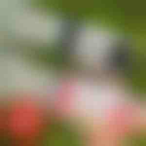 69-gats LED bellenblaaspistool | BUBBLEPUFF 1+1 GRATIS