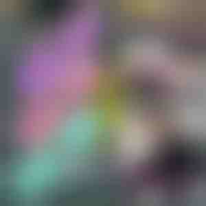 Trainingsbanden (set van 3) | FITSTRAPS