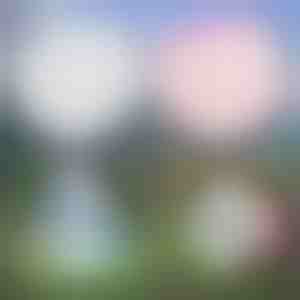 Multipurpose opblaasbare bubble | SLIMEBUB