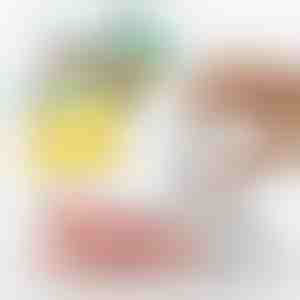 Snel en eenvoudig voedsel vacuümapparaat en luchtpomp | QUICKSEAL