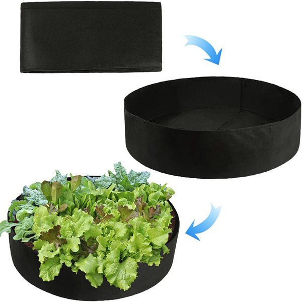 PLANTIE15809__6419f9cb