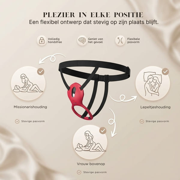 AMORA-3831127629396-NL-1c__130126