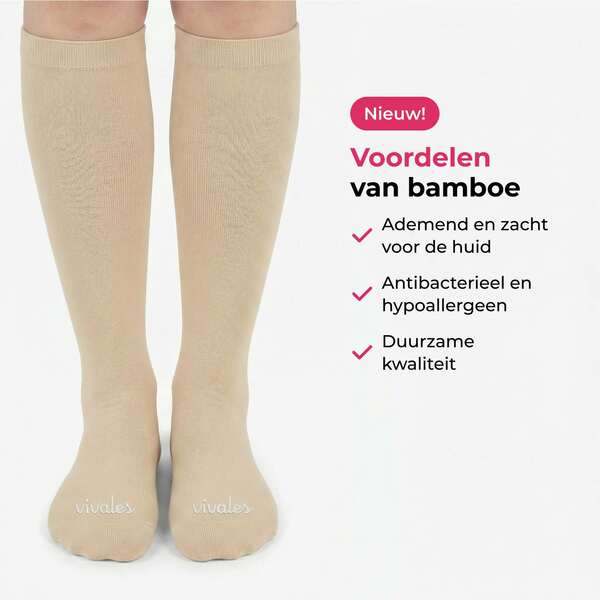 BAMBOOLES-3831127642186-NL-2__020926
