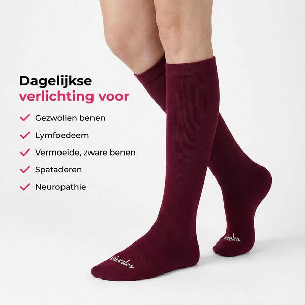 BAMBOOLES-3831127642186-NL-3__020926