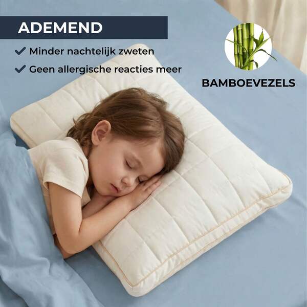MINIDREAM-3831127599472-NL-2__070926