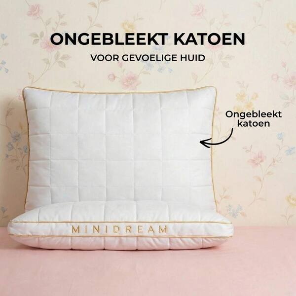 MINIDREAM-3831127599472-NL-5__070926